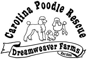 oops poodle rescue